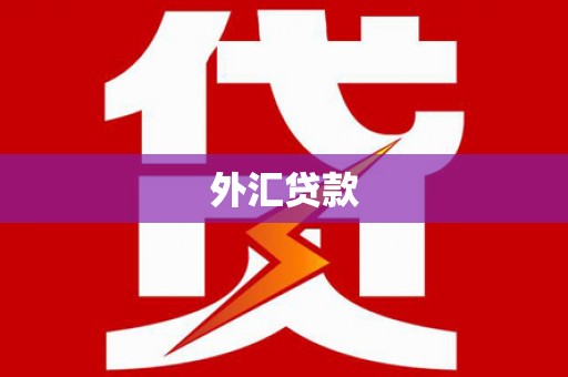 深泽外汇贷款