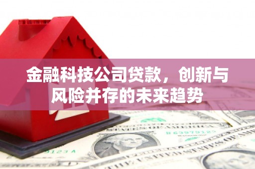 深泽金融科技公司贷款，创新与风险并存的未来趋势