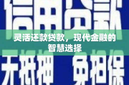 深泽灵活还款贷款，现代金融的智慧选择