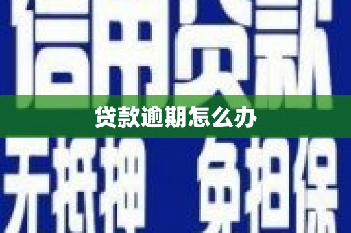 深泽贷款逾期怎么办
