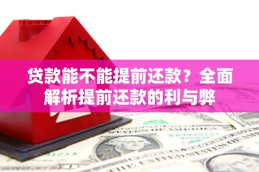 深泽贷款能不能提前还款？全面解析提前还款的利与弊