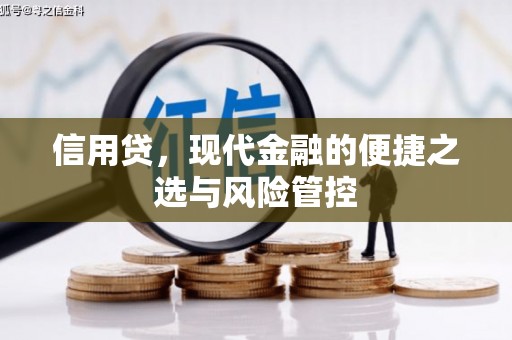 深泽信用贷，现代金融的便捷之选与风险管控