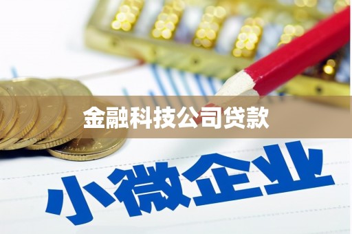 深泽金融科技公司贷款