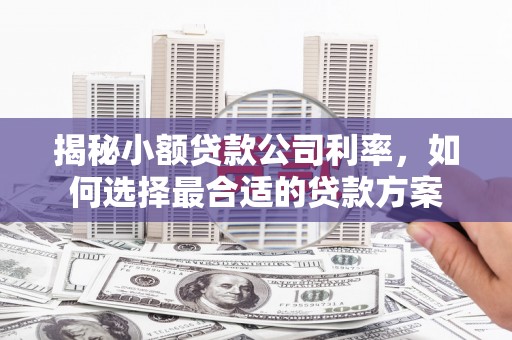 深泽揭秘小额贷款公司利率，如何选择最合适的贷款方案