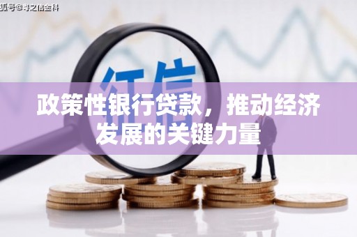 深泽政策性银行贷款，推动经济发展的关键力量