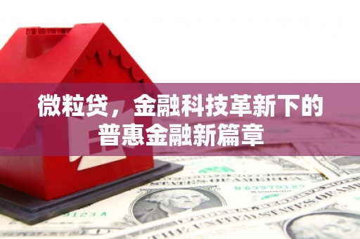 深泽微粒贷，金融科技革新下的普惠金融新篇章