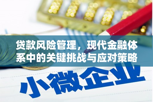 深泽贷款风险管理，现代金融体系中的关键挑战与应对策略