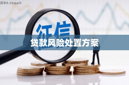 深泽贷款风险处置方案