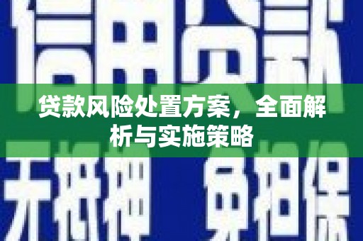 深泽贷款风险处置方案，全面解析与实施策略